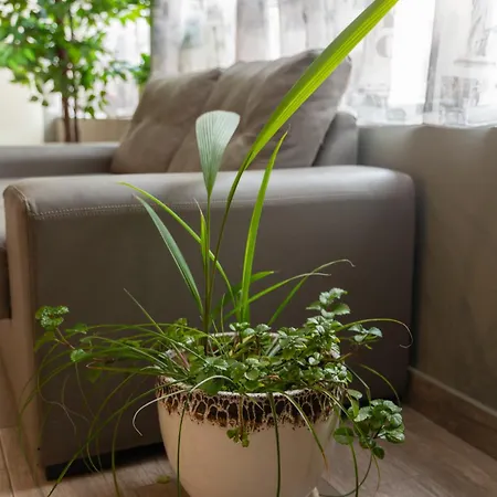 City Hotel 2* Veliko Tarnovo