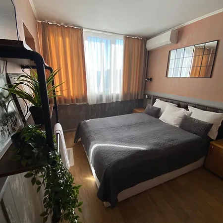 City Hotel Hotell 2*