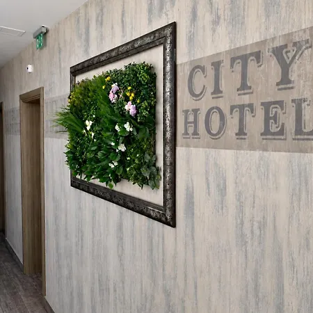 City Hotel 호텔 2*